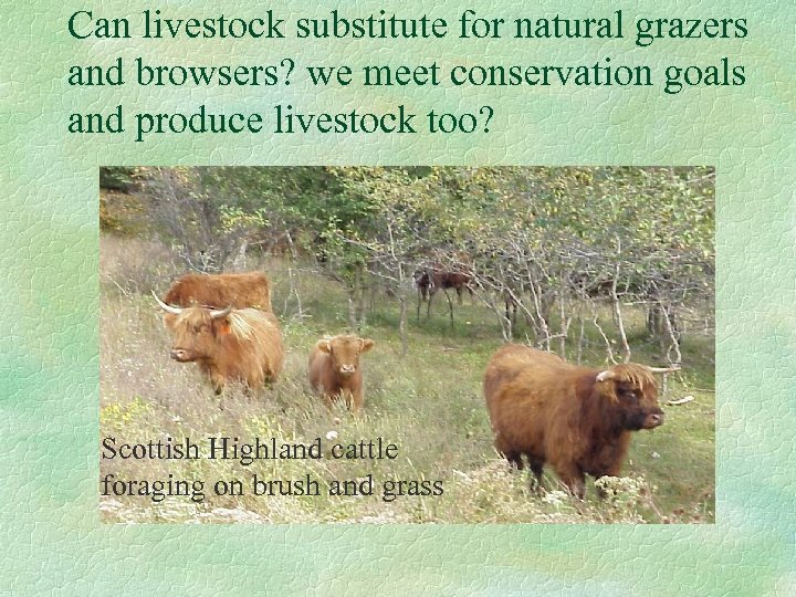 Can livestock substitute for natural grazers and browsers? we meet conservation goals and produce