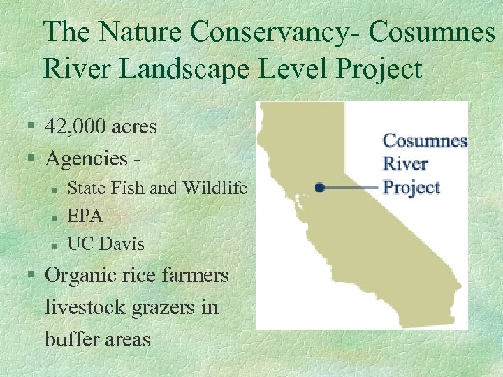 The Nature Conservancy- Cosumnes River Landscape Level Project § 42, 000 acres § Agencies