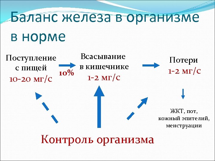 Баланс железа в организме в норме Поступление с пищей 10 -20 мг/с 10% Всасывание