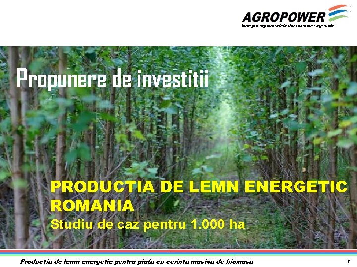 Energie regenerabila din reziduuri agricole Propunere de investitii PRODUCTIA DE LEMN ENERGETIC ROMANIA Studiu