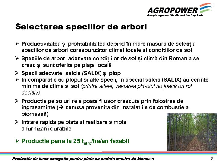 Energie regenerabila din reziduuri agricole Selectarea speciilor de arbori Ø Productivitatea și profitabilitatea depind