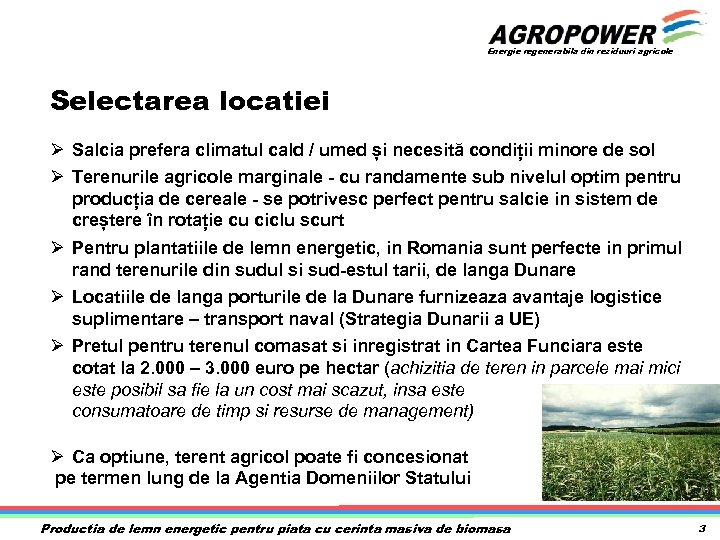 Energie regenerabila din reziduuri agricole Selectarea locatiei Ø Salcia prefera climatul cald / umed