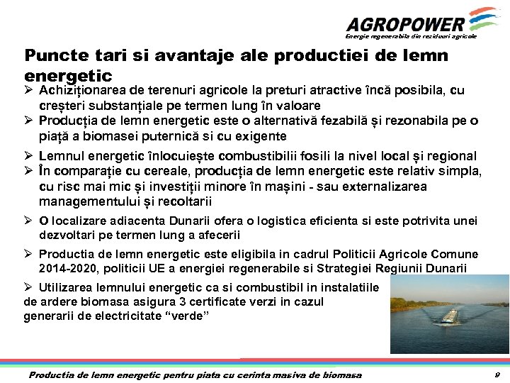 Energie regenerabila din reziduuri agricole Puncte tari si avantaje ale productiei de lemn energetic