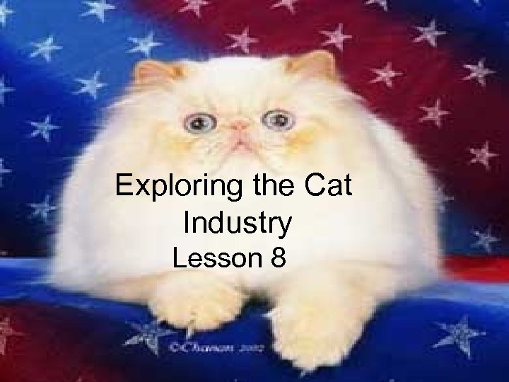 Exploring the Cat Industry Lesson 8 