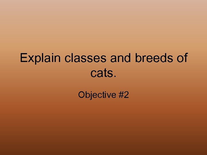 Explain classes and breeds of cats. Objective #2 