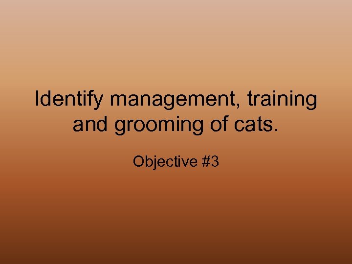 Identify management, training and grooming of cats. Objective #3 