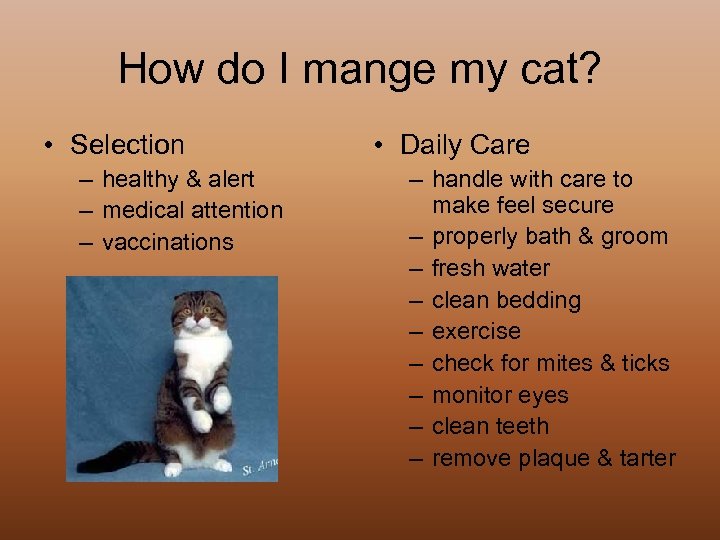 How do I mange my cat? • Selection – healthy & alert – medical