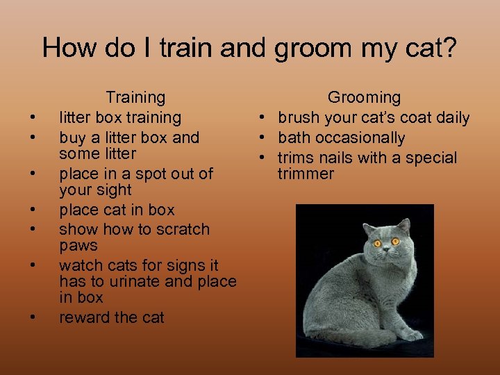 How do I train and groom my cat? • • Training litter box training