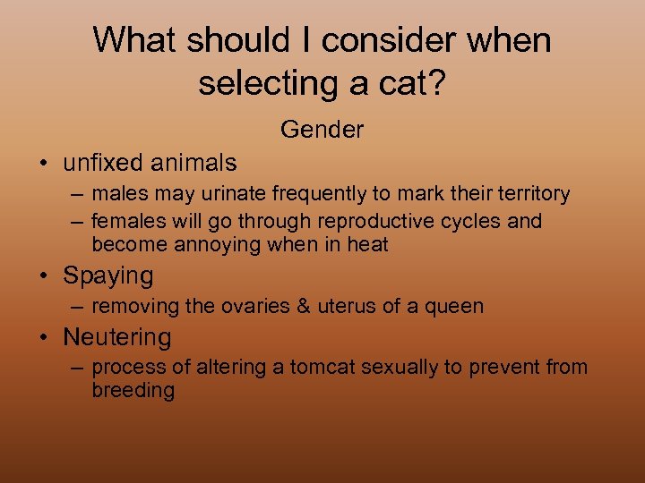 What should I consider when selecting a cat? Gender • unfixed animals – males