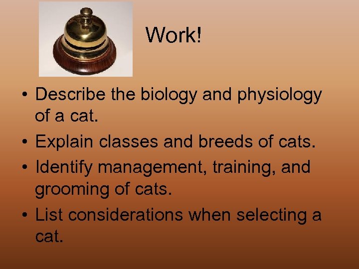 Work! • Describe the biology and physiology of a cat. • Explain classes and