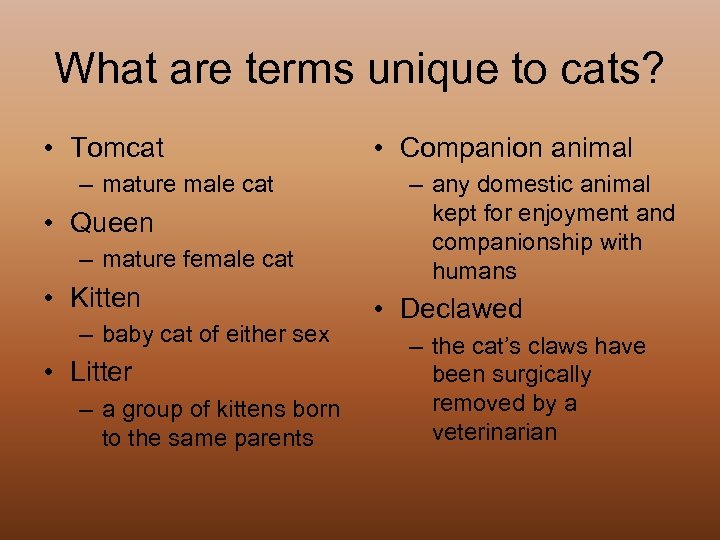 What are terms unique to cats? • Tomcat – mature male cat • Queen