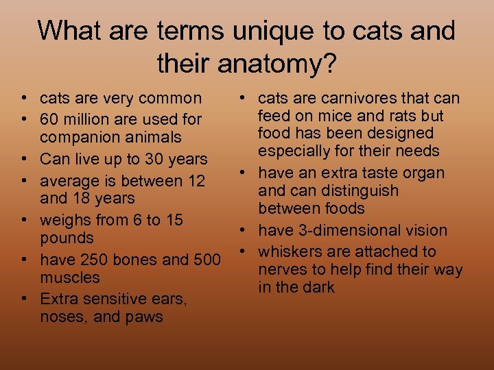 What are terms unique to cats and their anatomy? • cats are very common