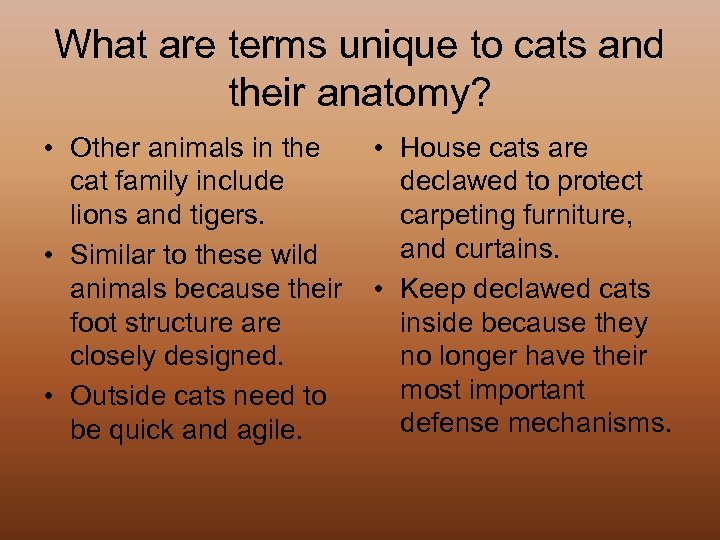 What are terms unique to cats and their anatomy? • Other animals in the