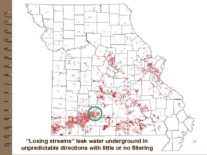 “Losing streams” leak water underground in unpredictable directions with little or no filtering 28