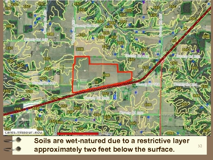 Soils are wet-natured due to a restrictive layer approximately two feet below the surface.