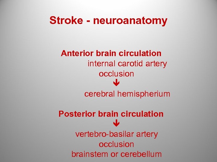 Stroke - neuroanatomy Anterior brain circulation internal carotid artery occlusion cerebral hemispherium Posterior brain