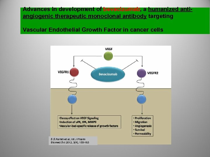 Advances in development of bevacizumab, a humanized antibevacizumab angiogenic therapeutic monoclonal antibody targeting Vascular