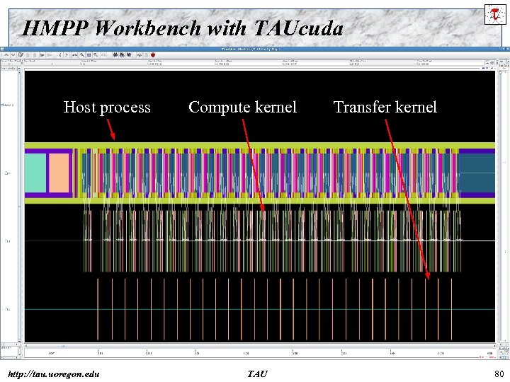 HMPP Workbench with TAUcuda Host process http: //tau. uoregon. edu Compute kernel TAU Transfer
