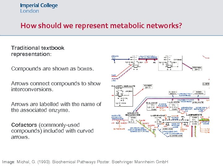How should we represent metabolic networks? Traditional textbook representation: Compounds are shown as boxes.