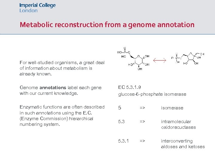 Metabolic reconstruction from a genome annotation For well-studied organisms, a great deal of information