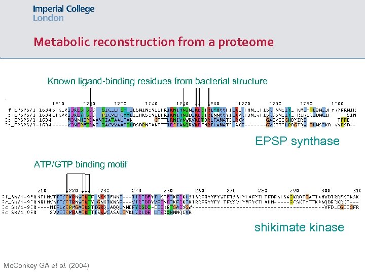 Metabolic reconstruction from a proteome Known ligand-binding residues from bacterial structure EPSP synthase ATP/GTP