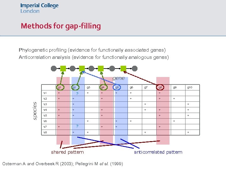 Methods for gap-filling Phylogenetic profiling (evidence for functionally associated genes) Anticorrelation analysis (evidence for