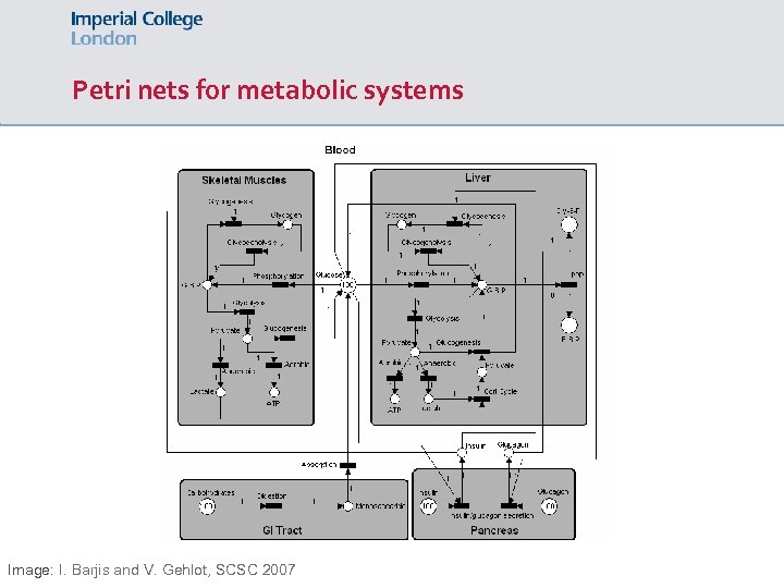 Petri nets for metabolic systems Image: I. Barjis and V. Gehlot, SCSC 2007 