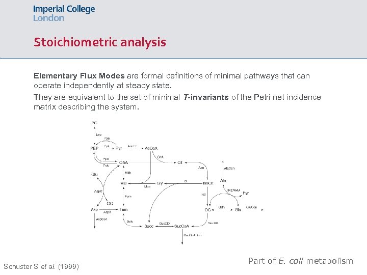 Stoichiometric analysis Elementary Flux Modes are formal definitions of minimal pathways that can operate