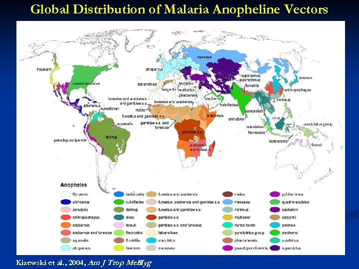 Global Distribution of Malaria Anopheline Vectors Kizewski et al. , 2004, Am J Trop