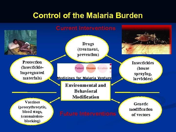 Control of the Malaria Burden Current Interventions Drugs (treatment, prevention) Protection (insecticideimpregnated materials) Insecticides