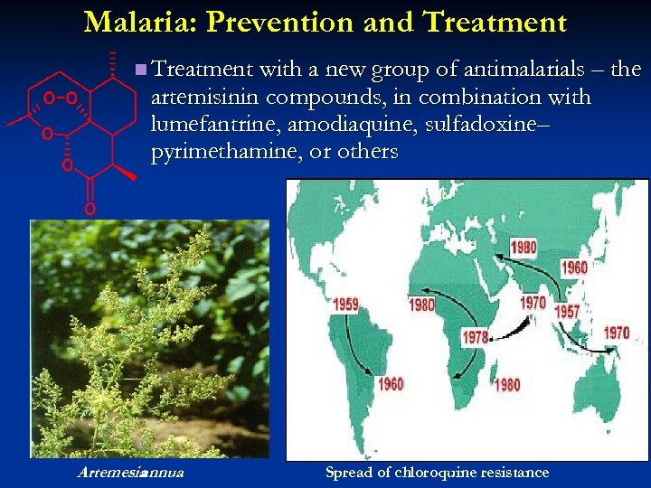 Malaria: Prevention and Treatment n Treatment with a new group of antimalarials – the