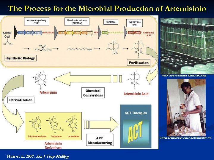 The Process for the Microbial Production of Artemisinin WHO/Tropical Diseases Research/Crump Verband Forschender Arzneimittelhersteller