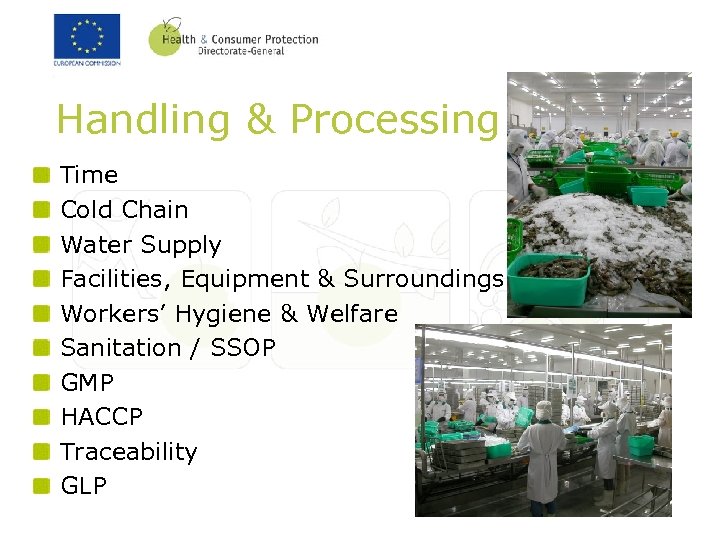 Handling & Processing Time Cold Chain Water Supply Facilities, Equipment & Surroundings Workers’ Hygiene
