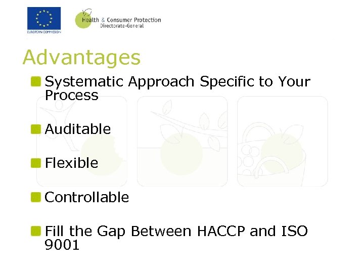 Advantages Systematic Approach Specific to Your Process Auditable Flexible Controllable Fill the Gap Between