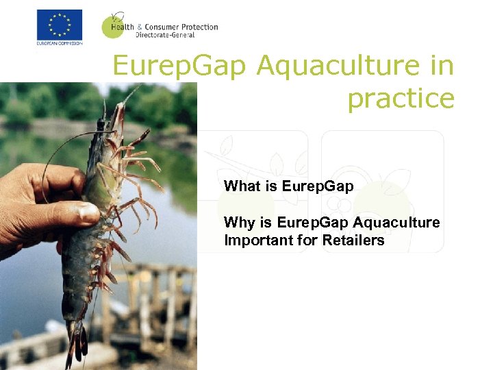 Eurep. Gap Aquaculture in practice What is Eurep. Gap Why is Eurep. Gap Aquaculture