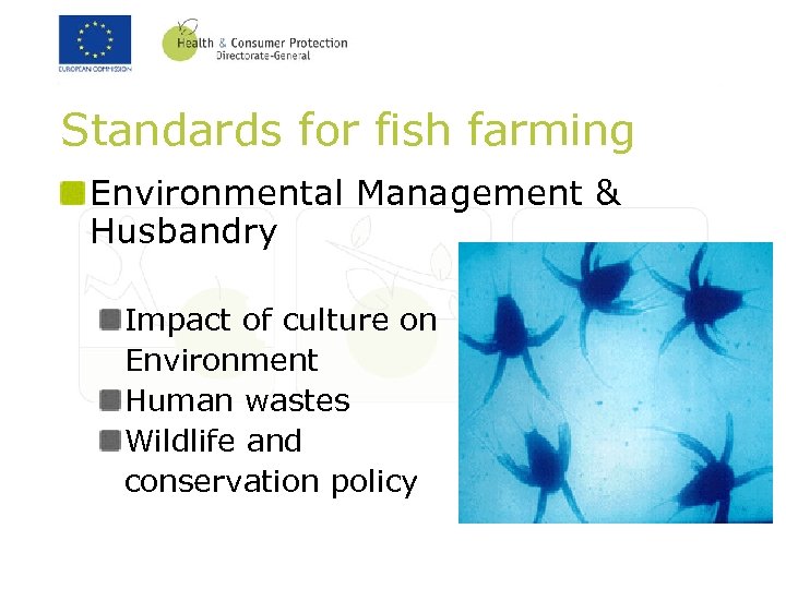 Standards for fish farming Environmental Management & Husbandry Impact of culture on Environment Human