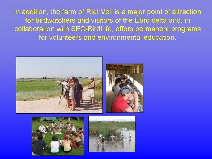 In addition, the farm of Riet Vell is a major point of attraction for