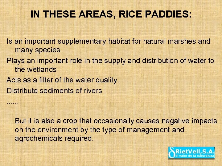 IN THESE AREAS, RICE PADDIES: Is an important supplementary habitat for natural marshes and