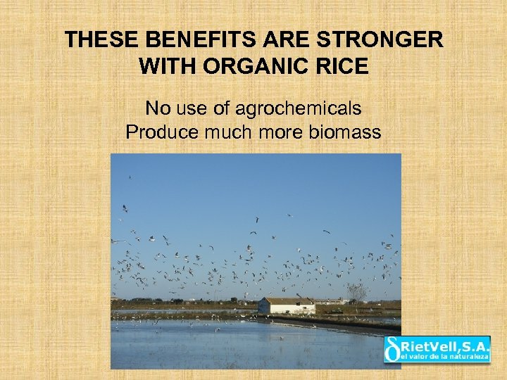 THESE BENEFITS ARE STRONGER WITH ORGANIC RICE No use of agrochemicals Produce much more