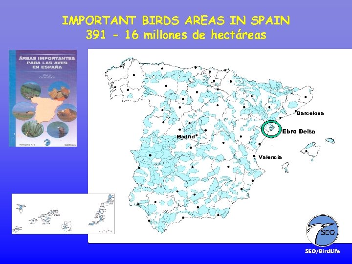 IMPORTANT BIRDS AREAS IN SPAIN 391 - 16 millones de hectáreas Barcelona Ebro Delta