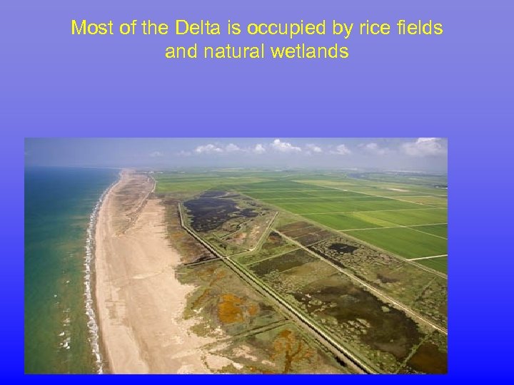 Most of the Delta is occupied by rice fields and natural wetlands 