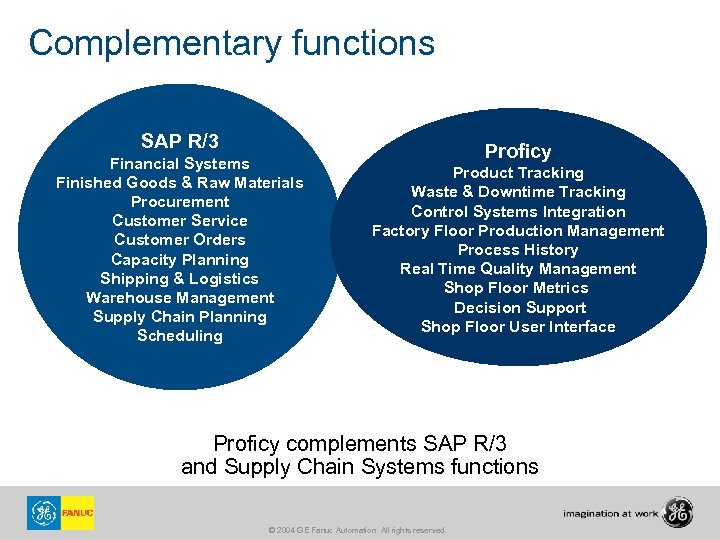 Complementary functions SAP R/3 Financial Systems Finished Goods & Raw Materials Procurement Customer Service