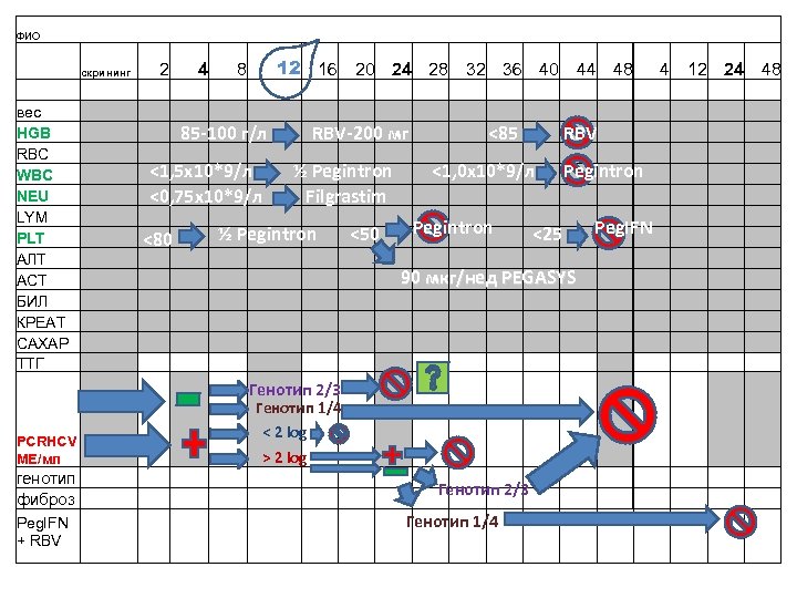 ФИО 2 скрининг 4 12 16 20 24 28 32 36 40 44 48