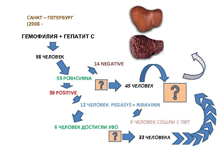 САНКТ – ПЕТЕРБУРГ (2008 ГЕМОФИЛИЯ + ГЕПАТИТ С 98 ЧЕЛОВЕК 14 NEGATIVE 53 PCRHCVRNA