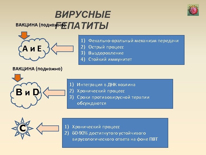 ВИРУСНЫЕ ВАКЦИНА (подкожно) ГЕПАТИТЫ Аи. Е 1) 2) 3) 4) Фекально-оральный механизм передачи Острый