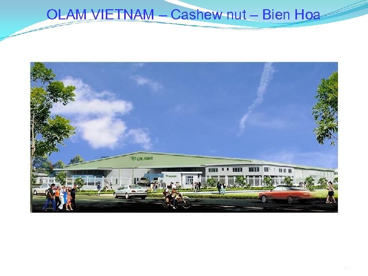OLAM VIETNAM – Cashew nut – Bien Hoa 93 