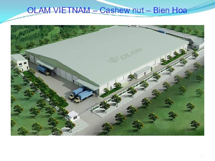 OLAM VIETNAM – Cashew nut – Bien Hoa 94 