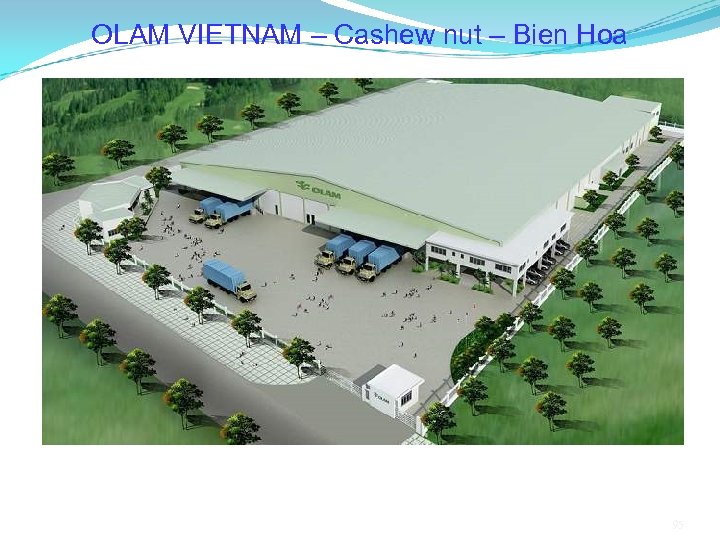 OLAM VIETNAM – Cashew nut – Bien Hoa 95 