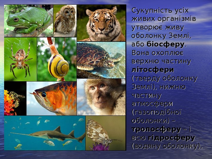   Сукупність усіх живих організмів утворює живу оболонку Землі,  або біосферу. .