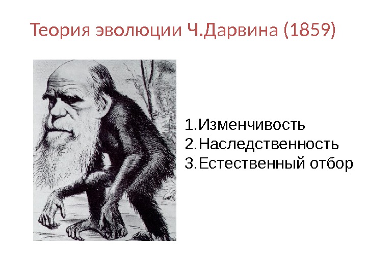Теория эволюции Ч. Дарвина (1859) 1. Изменчивость 2. Наследственность 3. Естественный отбор 
